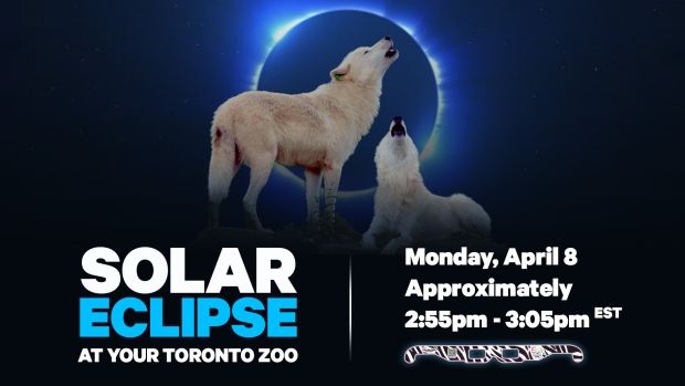 Zoo Eclipse