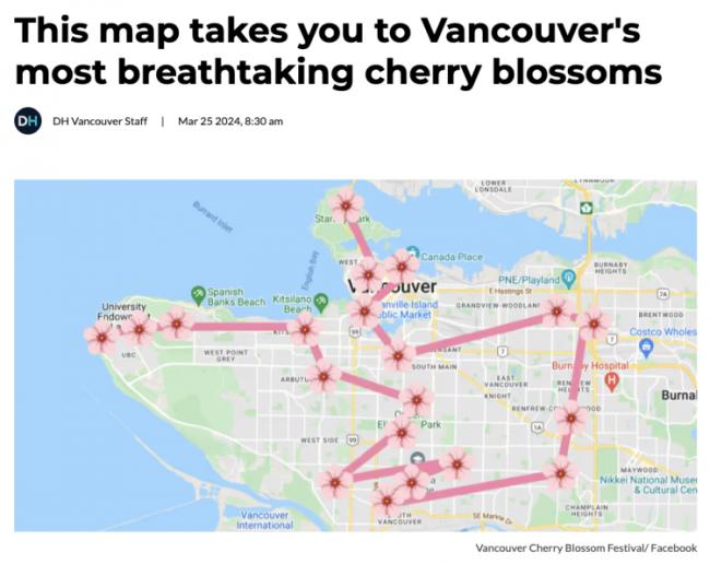 温哥华樱花地图 今年赏樱打卡最佳地点是这里