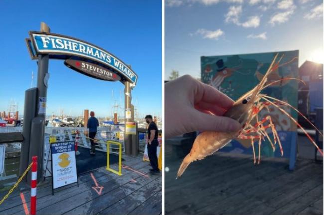 斑点虾季节来了 列治文渔人码头有好吃好玩活动