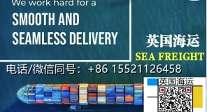 英国海关禁运清单曝光！移民搬家普利茅斯南
