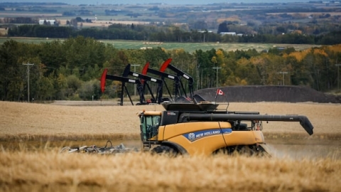 加拿大小麦局垄断终结十余年诉讼落幕 曼省