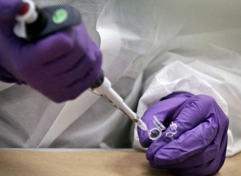 DNA技术揭开新不伦瑞克女子数十年前离奇死
