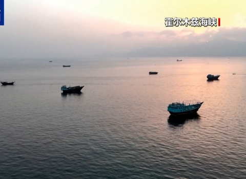 一油轮在霍尔木兹海峡附近遇袭 船舶单周通