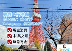 日本風俗入門攻略愛醬夜戀館TGR300687東京大阪外送茶推薦