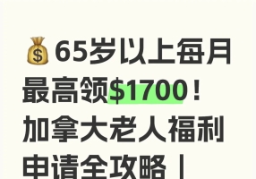 🇨🇦加拿大老人福利申请全攻略