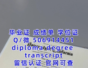 1:1定制 证.书+威◆swty8848◆成./績*單文凴？學*励-认.正