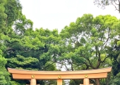 赴日旅行日记（七）明治神宫