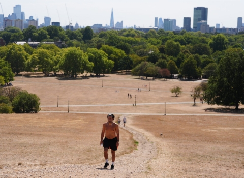 西欧再遭高温侵袭 英国2026年迄今最热日创