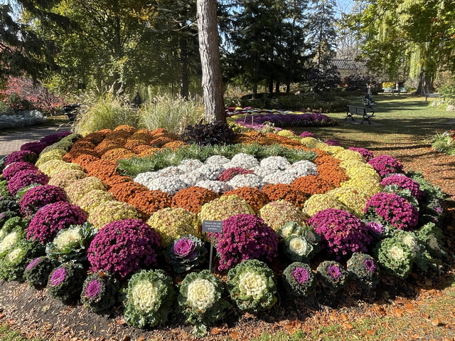 爱德华花园 Edwards Gardens