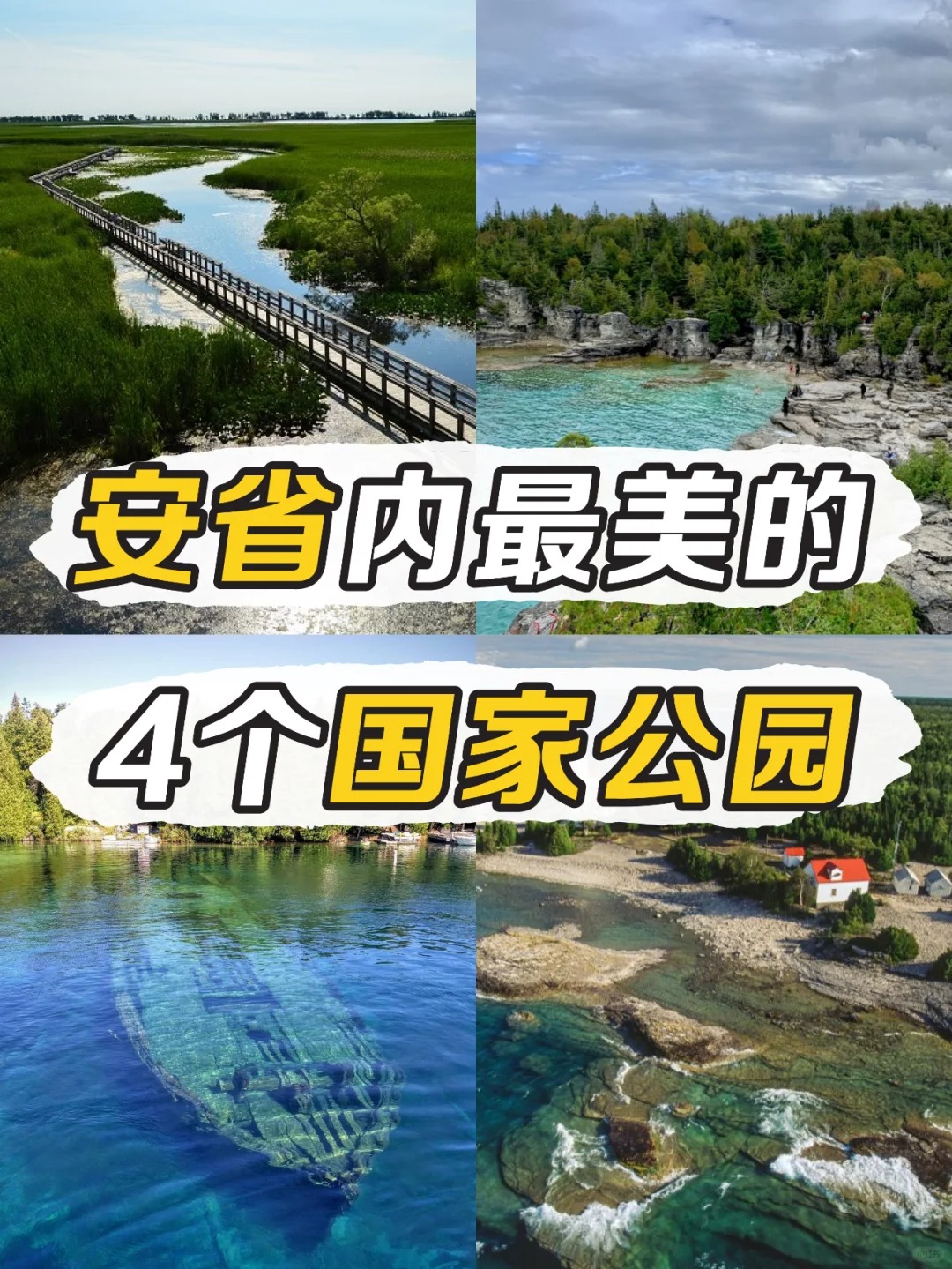 ??安省美美哒4个公园｜果冻海大赏