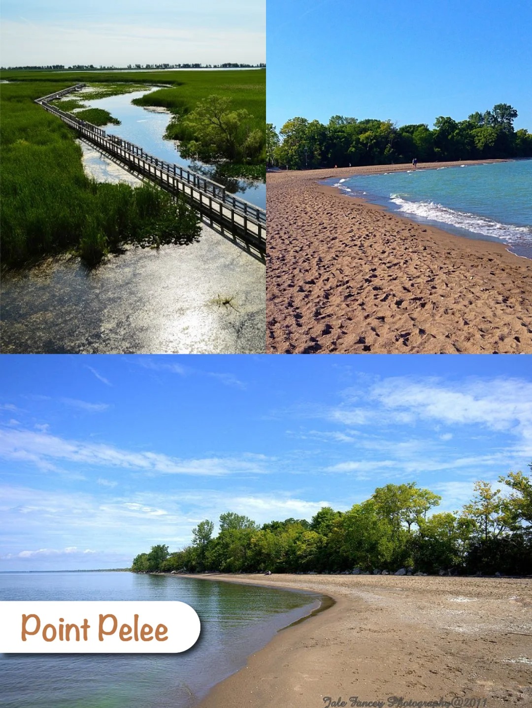 ??安省美美哒4个公园｜果冻海大赏