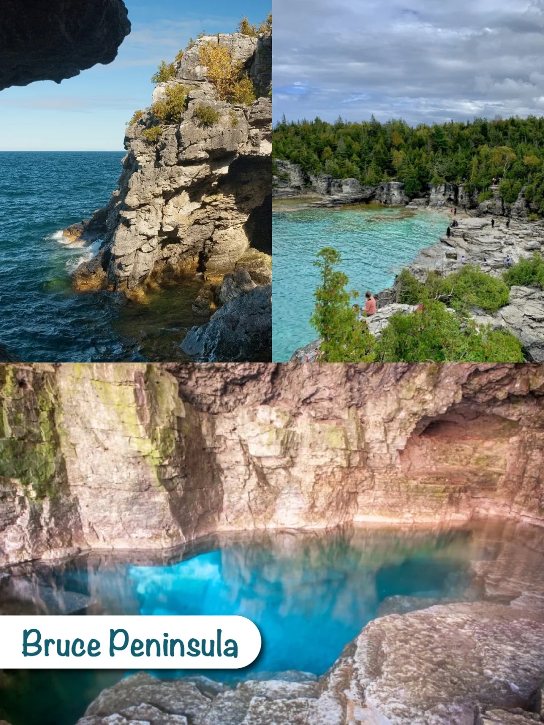 ??安省美美哒4个公园｜果冻海大赏