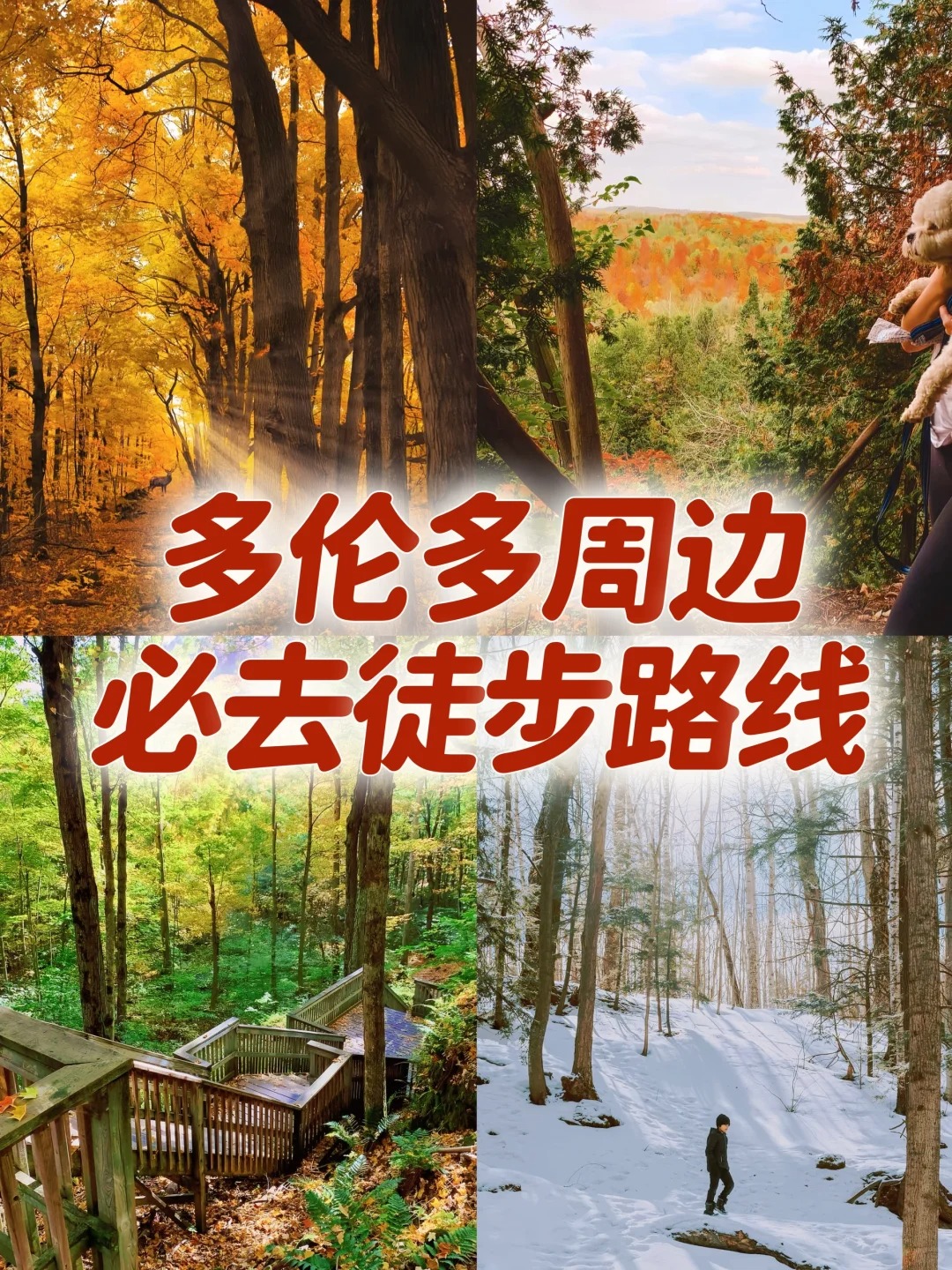 多伦多超美的徒步路线❗️真的必去?