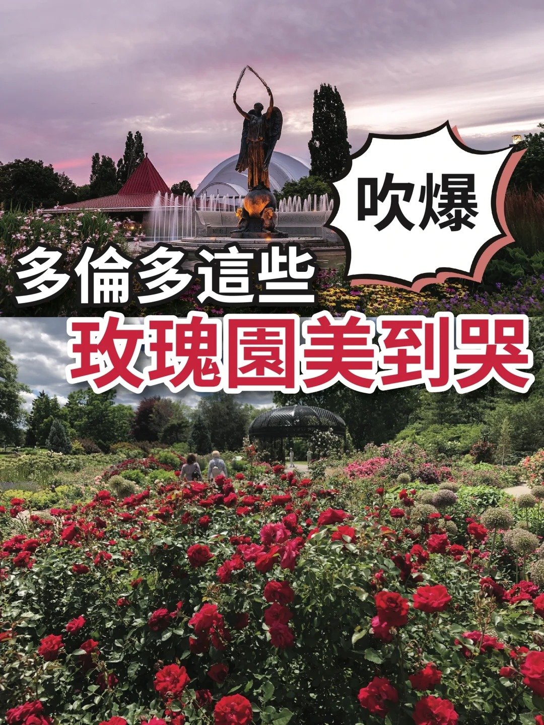 吹爆❗多倫多這些玫瑰園美到哭
