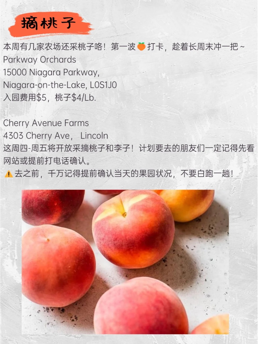 多伦多公民日好去处?长周末浪起来?
