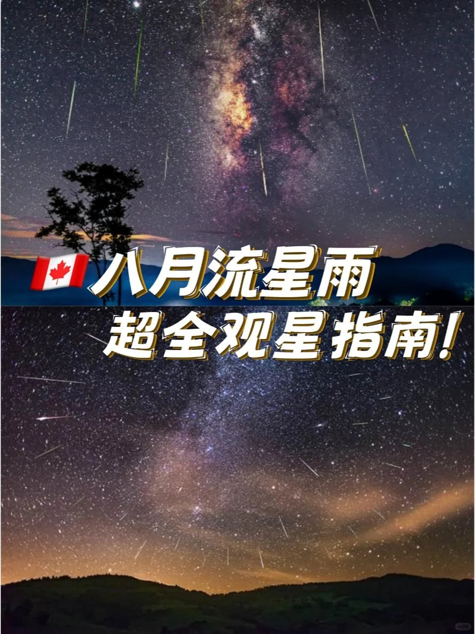 2024加拿大??英仙座流星雨观星攻略