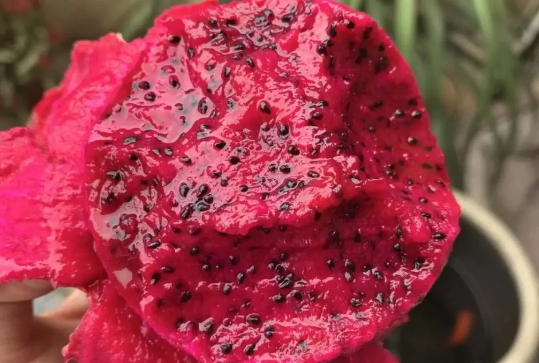 减缓衰老的秘诀，就在于这些“花青素”食物吃对了，不显老很正常