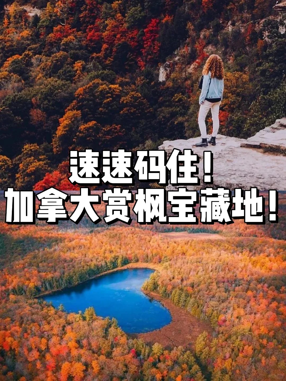 加拿大赏枫?宝藏地分享！