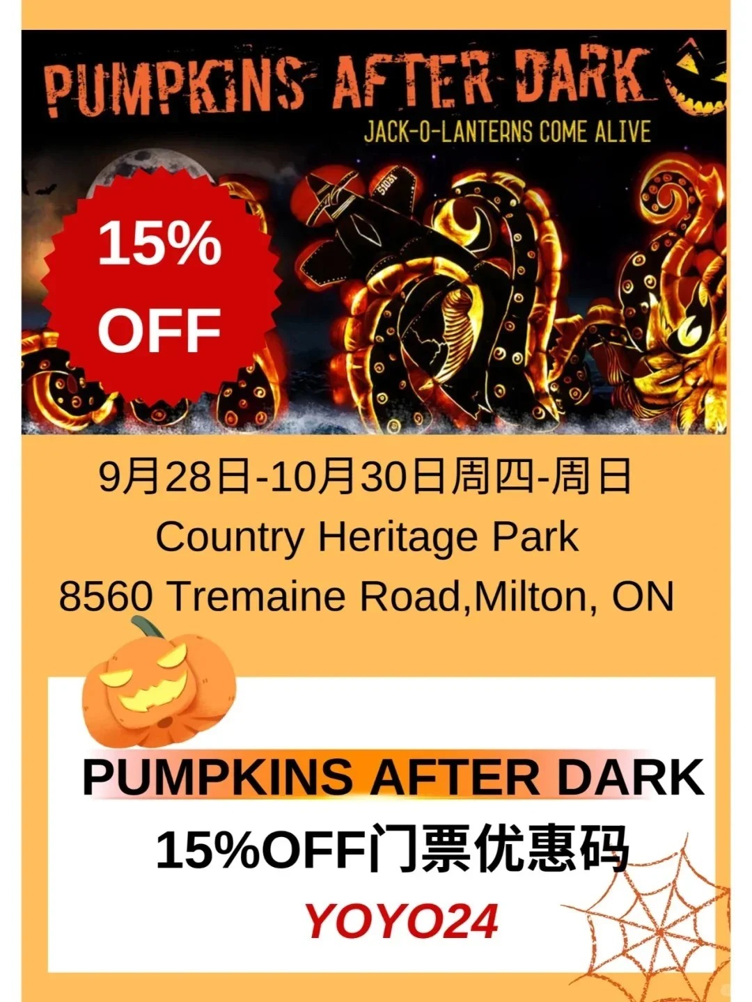 步入秋日童话秘境，安省9条超美赏秋木板路