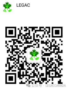 〖LEGAC协会〗传递爱与希望2019-2024全球公益志愿者与实习项目招募【全球顶尖高校认可