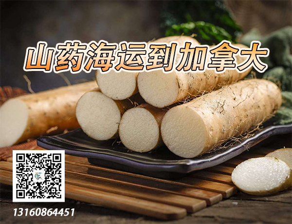 山药、甜点、海带结海运冷链到加拿大冷冻柜运输庄家