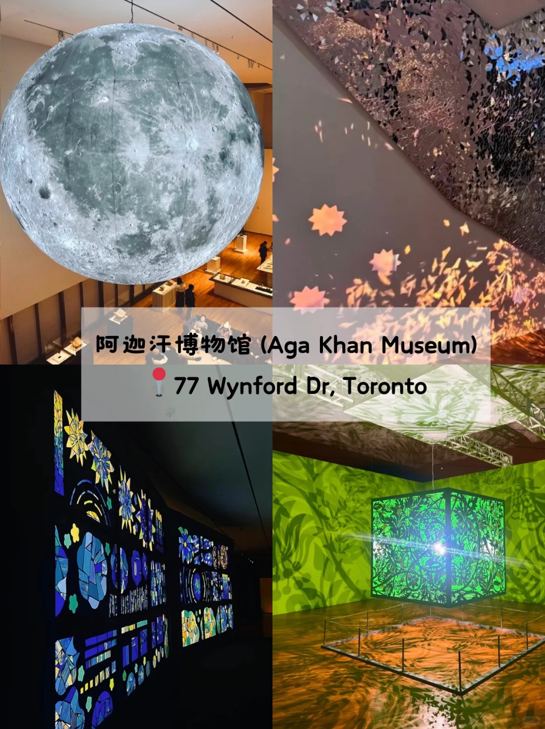CA多伦多免费博物馆，错过悔一年
