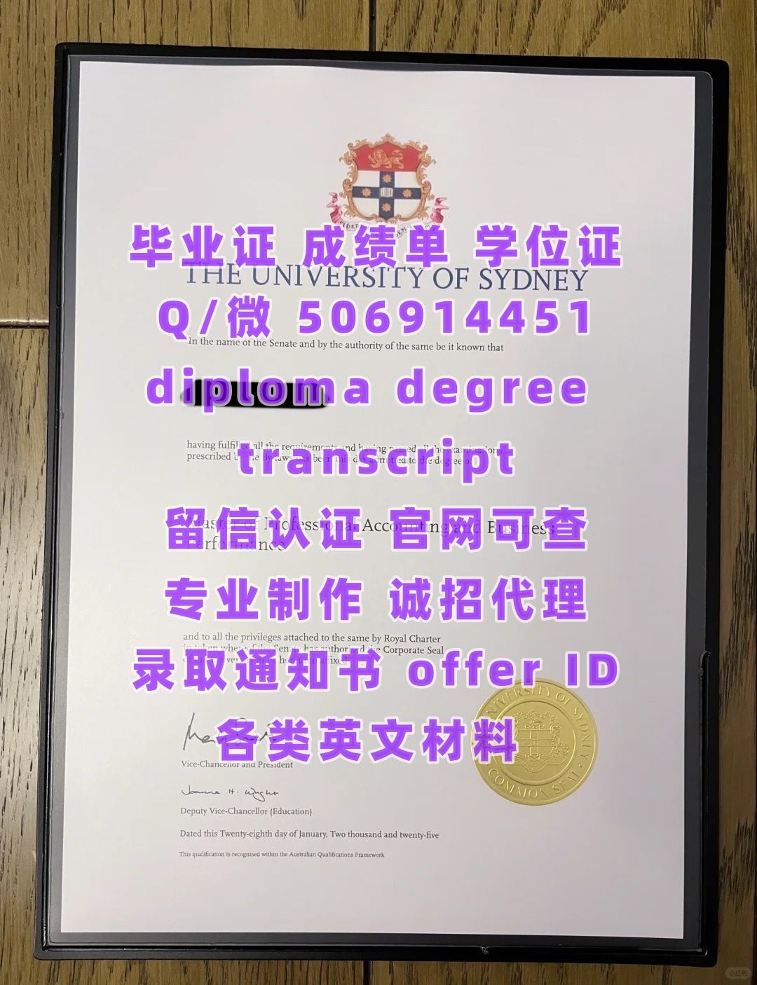 diploma (15)