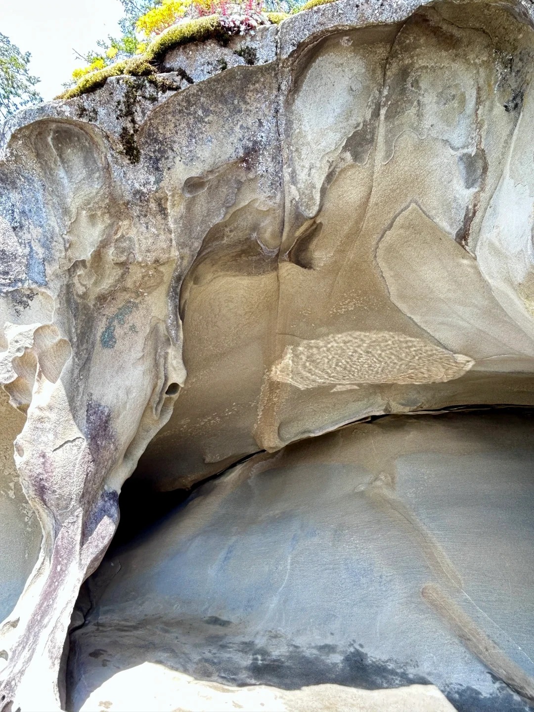 ? 温哥华周边隐世小岛?️｜在Galiano岛当一