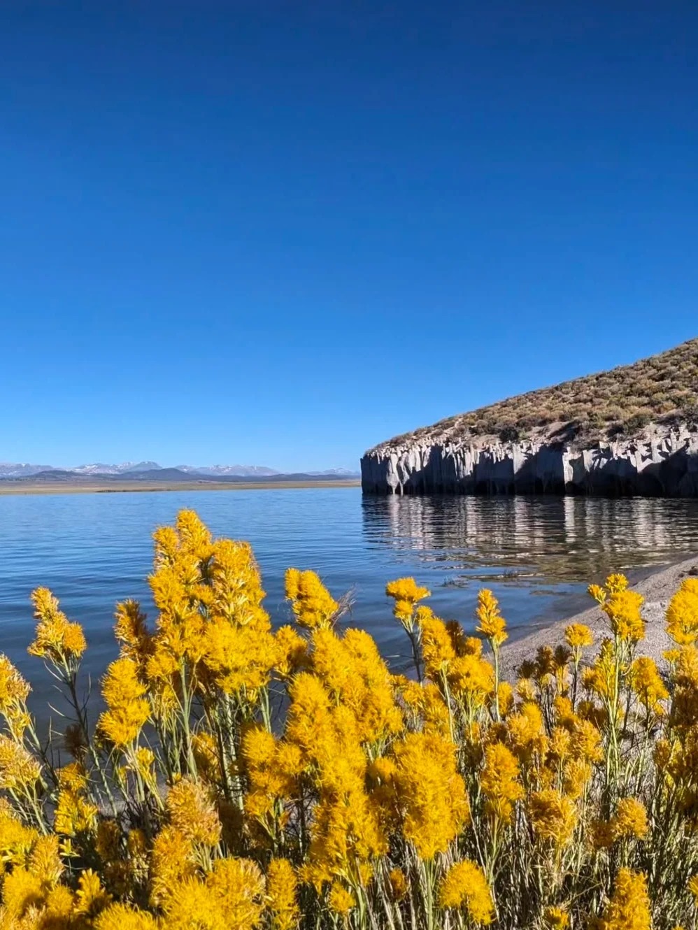 加州秘境！打卡Crowley Lake石柱神庙