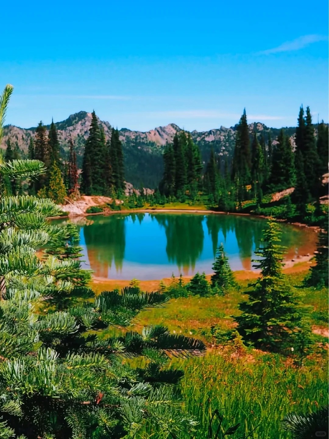 西雅图“阿勒泰”～?Naches Peak Loop