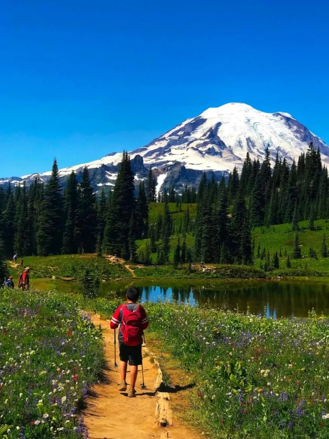 西雅图“阿勒泰”～?Naches Peak Loop