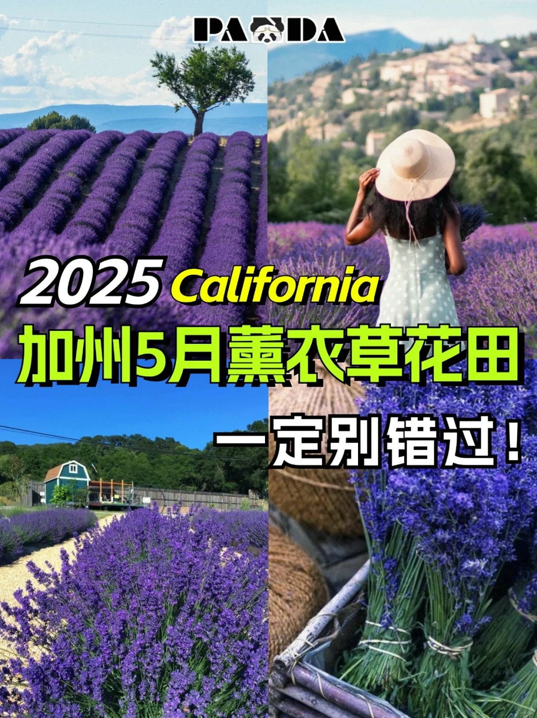 洛杉矶5-8月必去薰衣草花田 | 速看‼