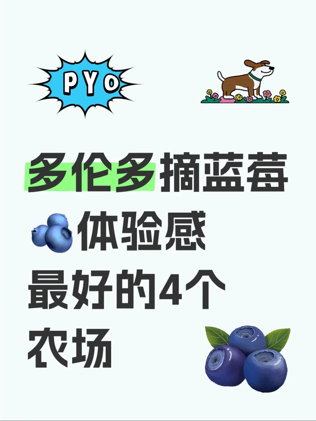 蓝朋友熟了