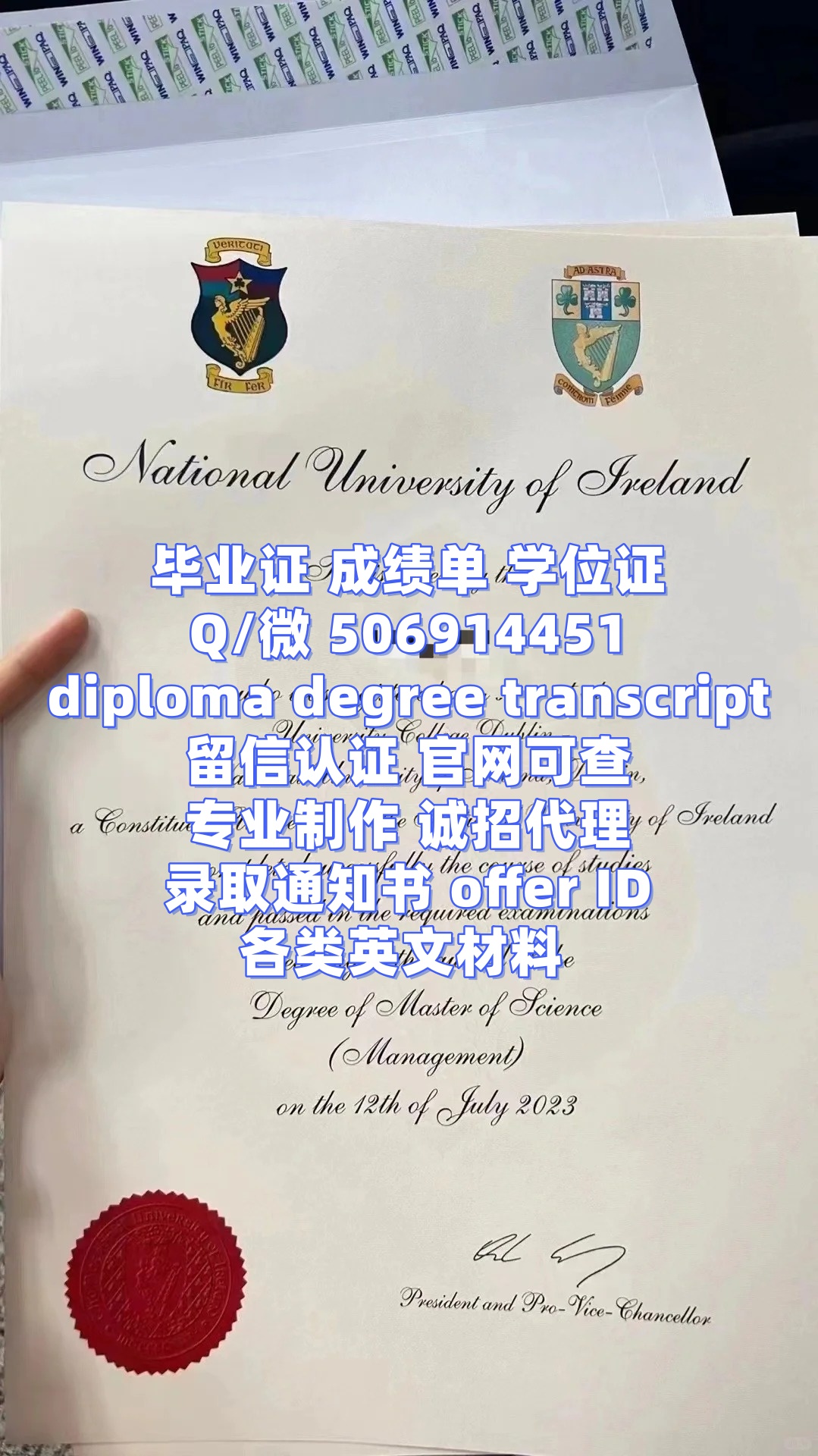 diploma (3)
