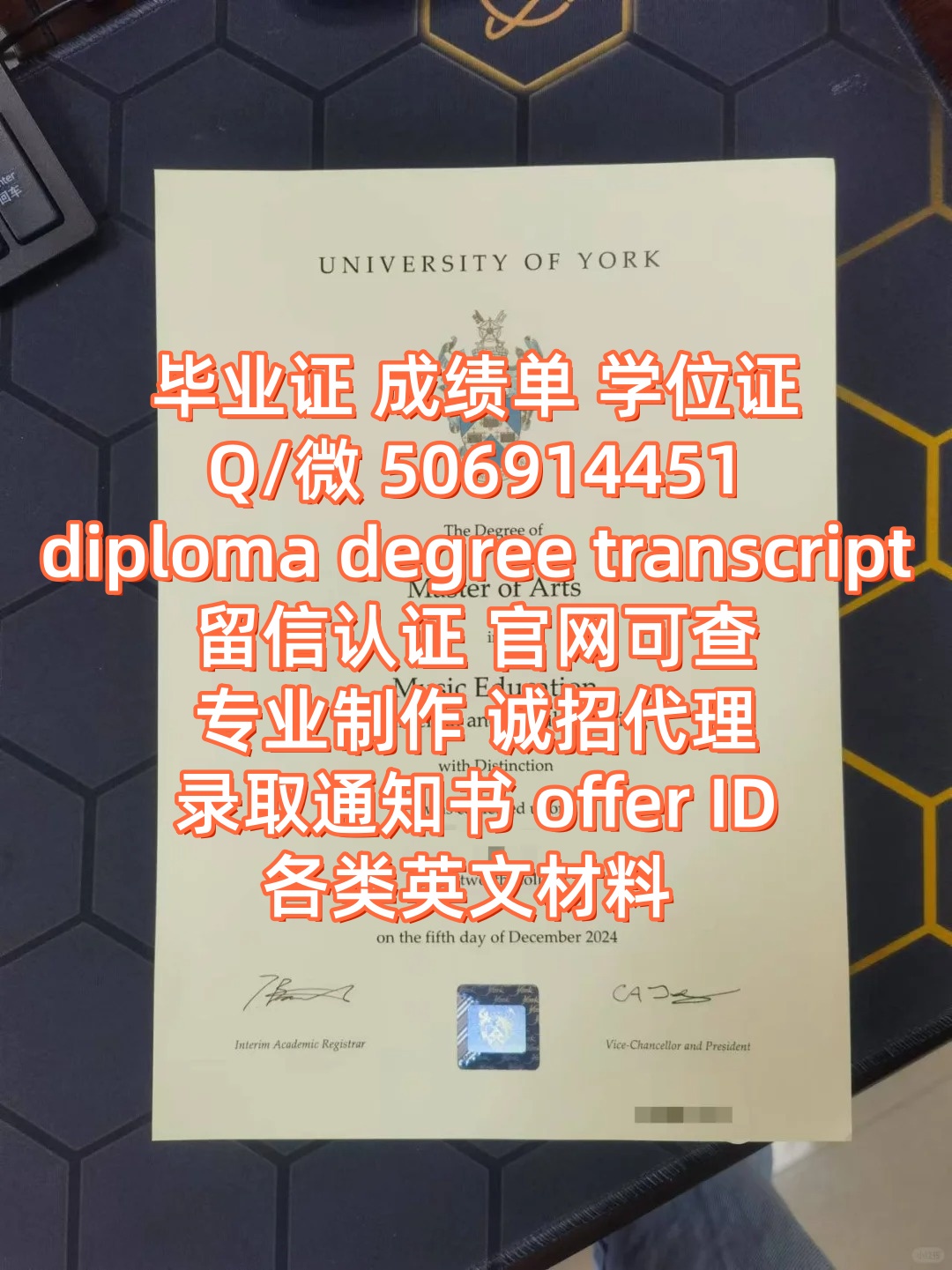 diploma (23)