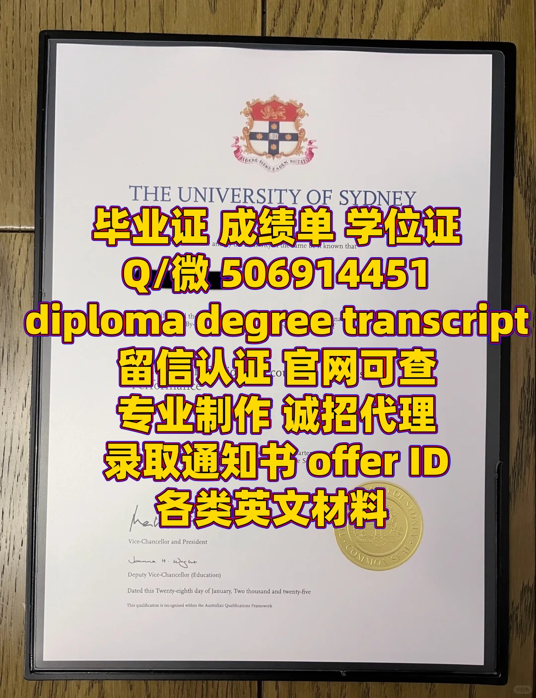 diploma (16)