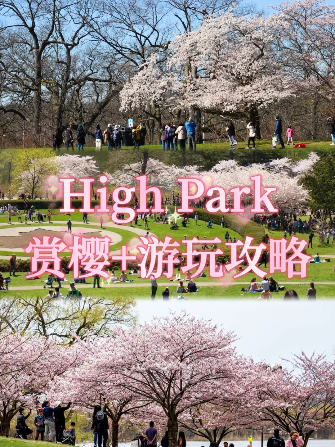 🇨🇦多伦多High Park赏樱➕游玩全攻略📷‼️_1_爱分享的米饭～_来自小红书网页版