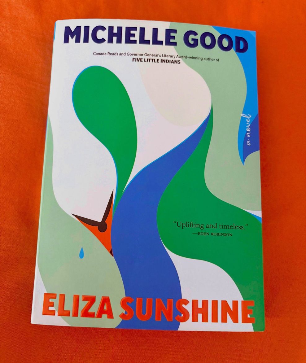 eliza sunshine by michelle good
