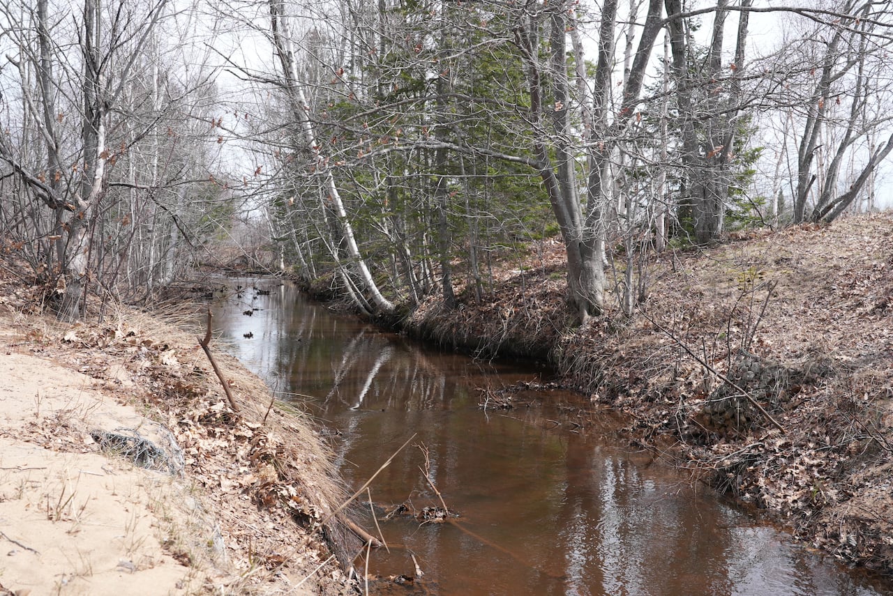 A small creek.