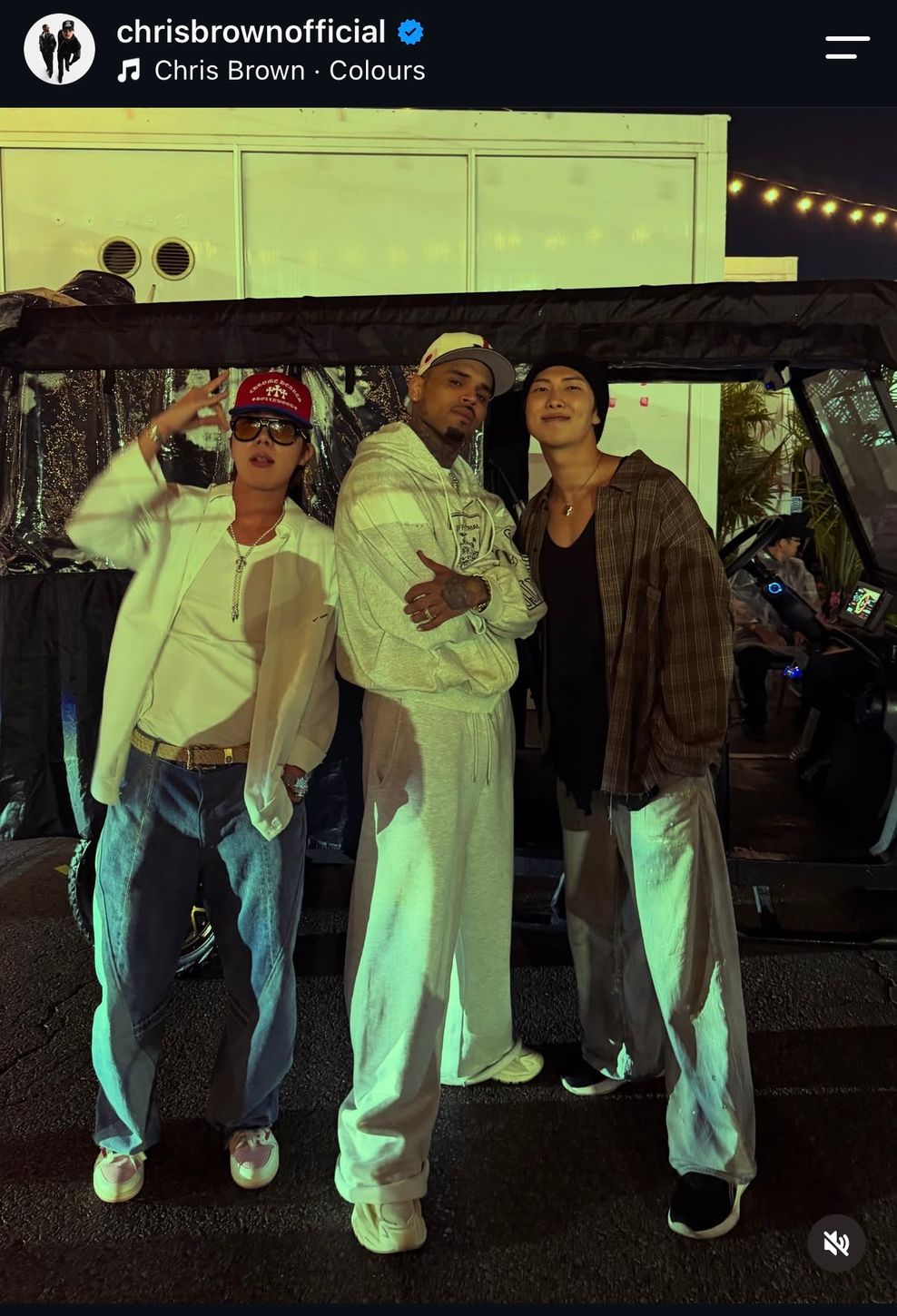 Chris Brown BTS