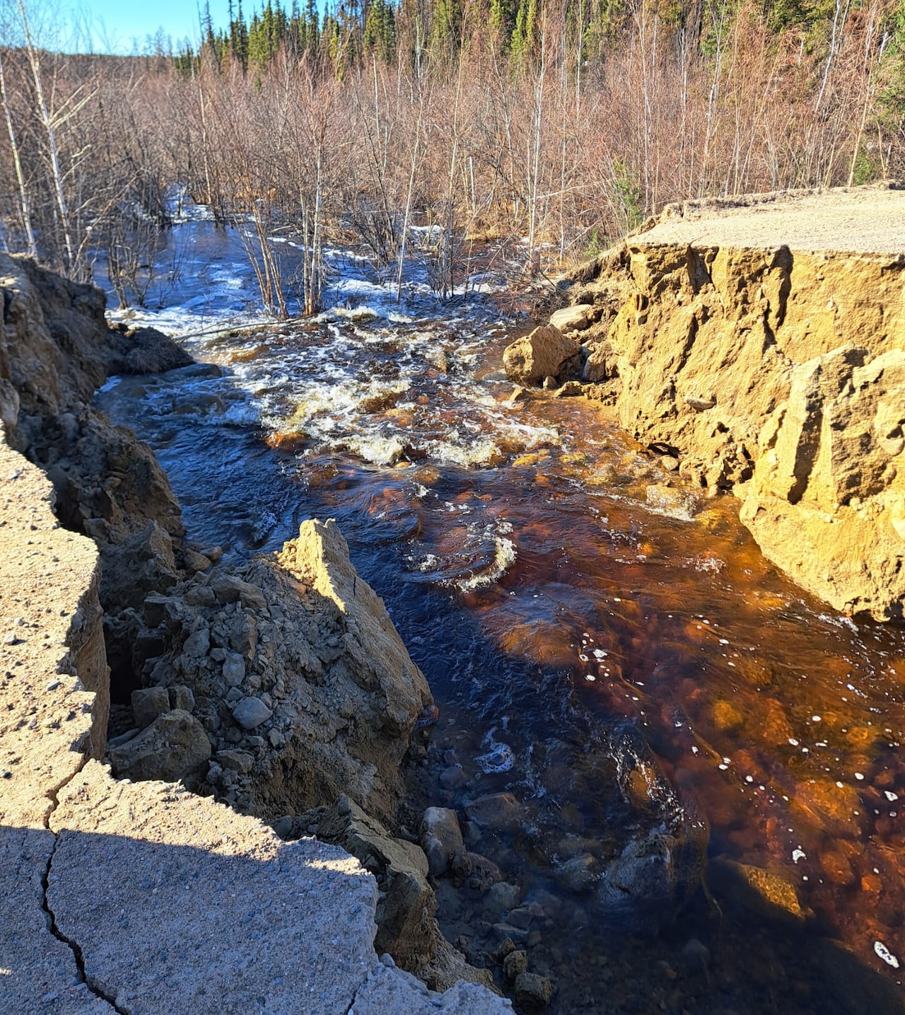 Brown water cuts a deep, wide path through a road and into a grove of trees and bushes.