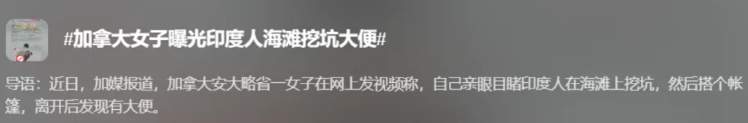 三观炸裂: 加拿大景点旁, 印度男子淡定朝喷泉里小便!