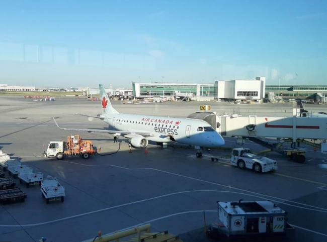 加拿大回国“增飞”一趟航班 每周11班