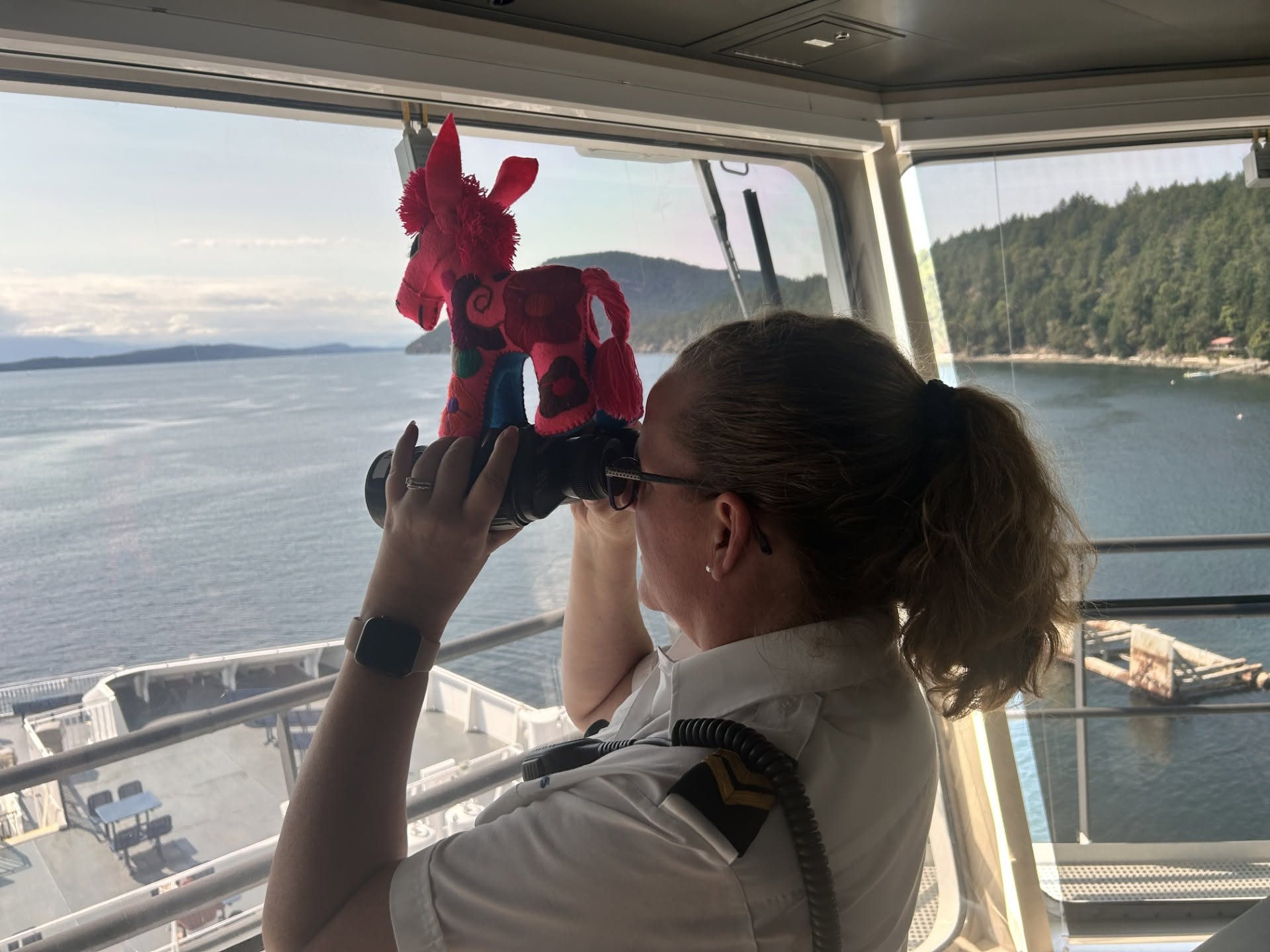 Churro the Burro 在 BC Ferries 上的冒险让成千上万的人感到高兴