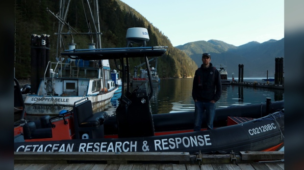 Bay Cetology executive director Jared Towers