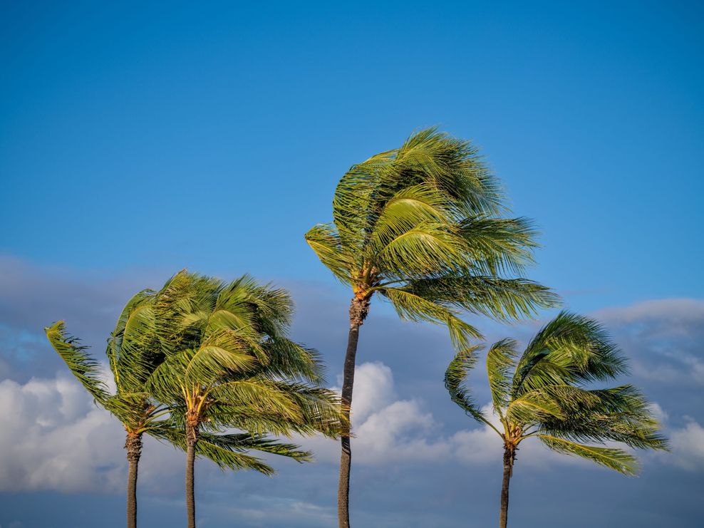 hawaii