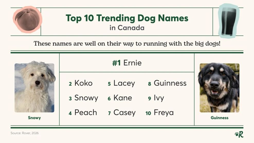 dog names