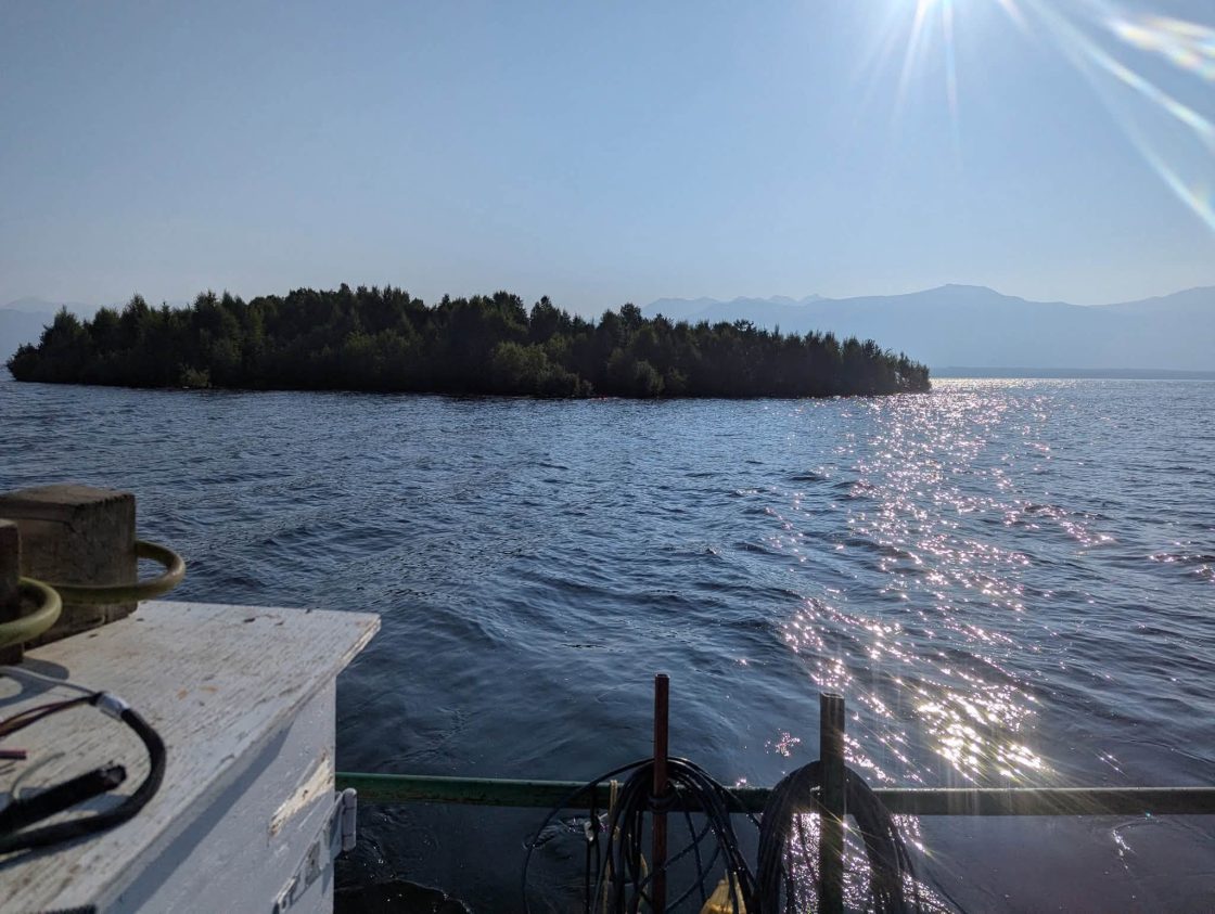 神秘漂浮岛现身卑诗最大水库，引发关注与好奇