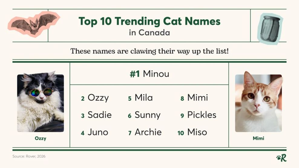 trending cat names