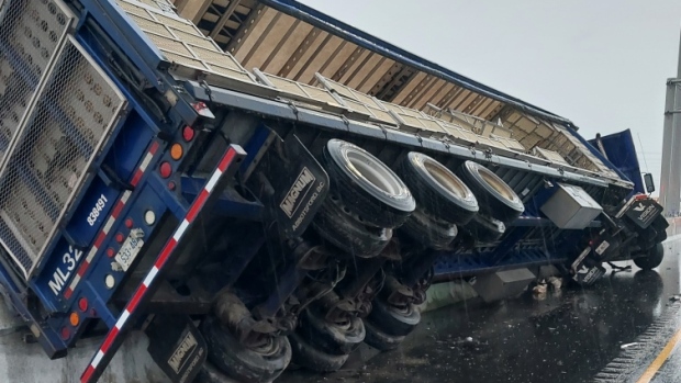 米尔顿发生车祸后，401号高速公路上的活鸡、车道被关闭：警方 ...